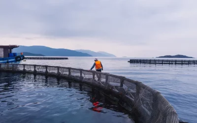 Vietnam backs marine aquaculture expansion