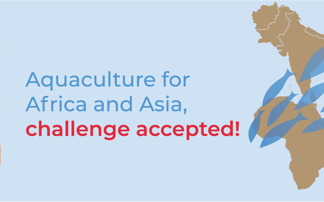 Aquaculture for Africa and Asia, challenge accepted